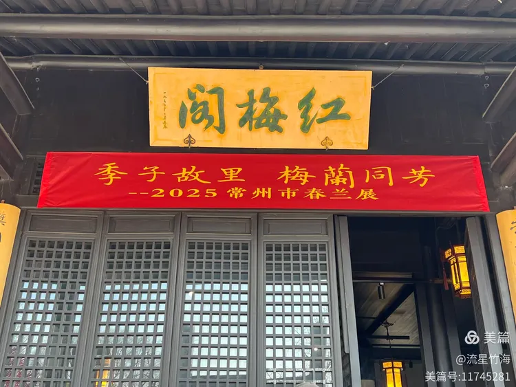 【探秘之星征文】 当梅花遇上春兰—常州红梅阁随拍